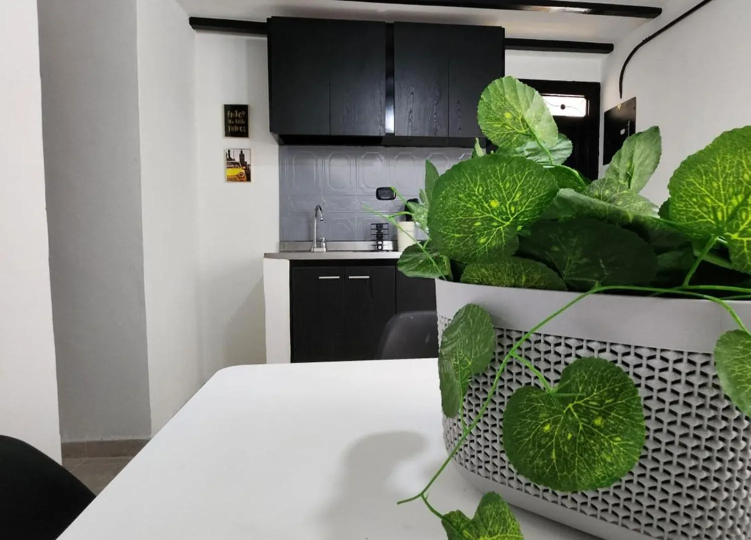 Prado Downtown Hostel Medellin Colombia